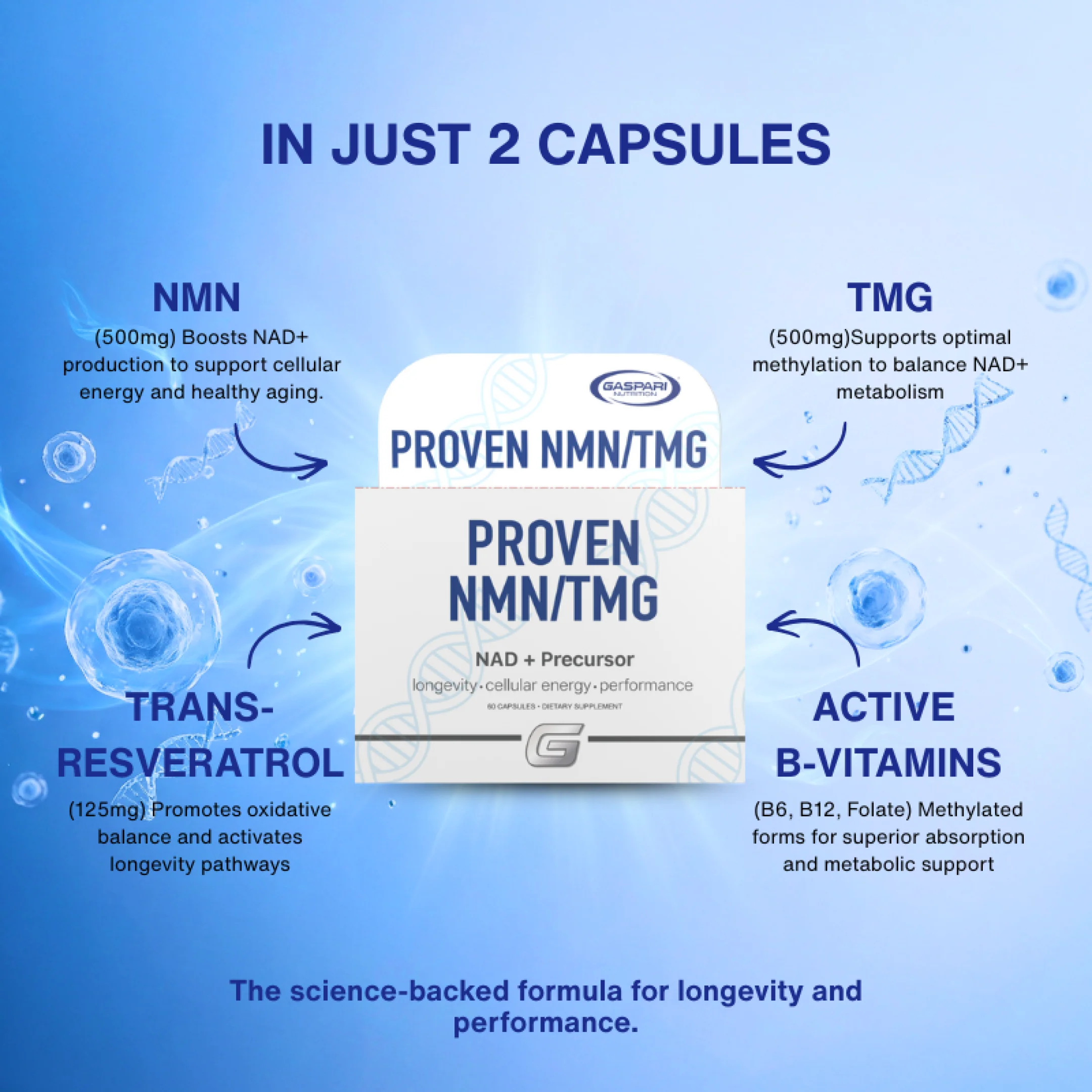 Proven NMN+TMG - Image 3